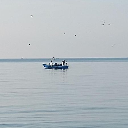 Galene - Beachfront In Costa D'Amalfi 마이오리 외부 사진